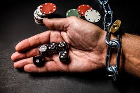 Как войти на сайт AVOCADO CASINO